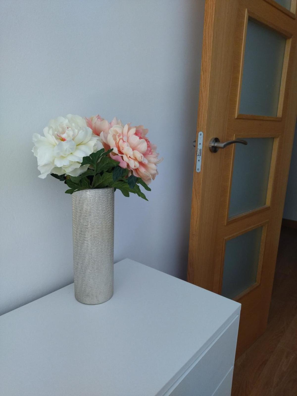 Apartment Doncellas Zamora